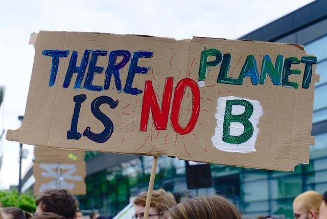 klimademo, protest, schild, umweltschutz, klimaaktivismus, nachhaltigkeit, demonstranten