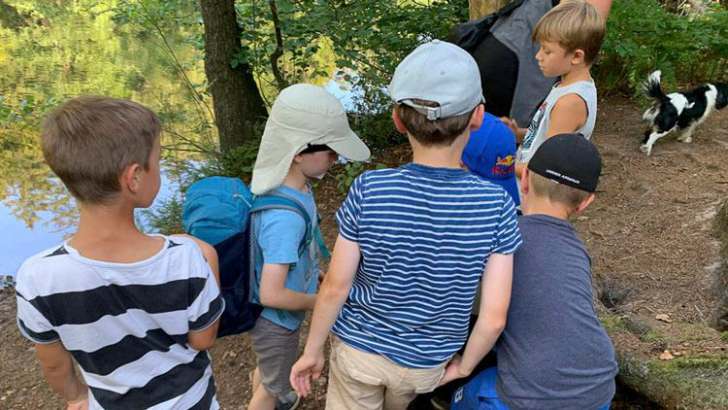 kinder, wald, natur, erlebnis, kita, ausflug, erzieherin, gruppenausflug, kinderpädagogik