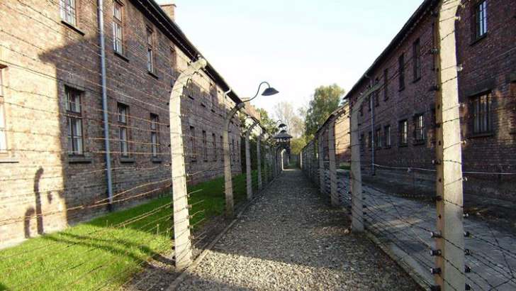 Auschwitz - Hintergründe und Zusammenhänge 