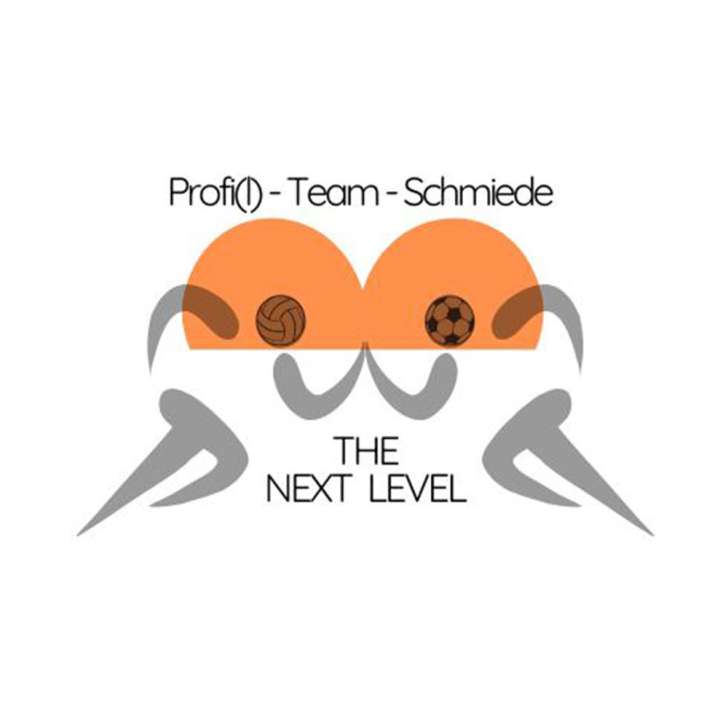  Das Logo der Profi(l)-Team-Schmiede 